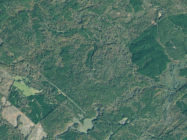Aerial image of Cedar Creek WMA - Glady Creek