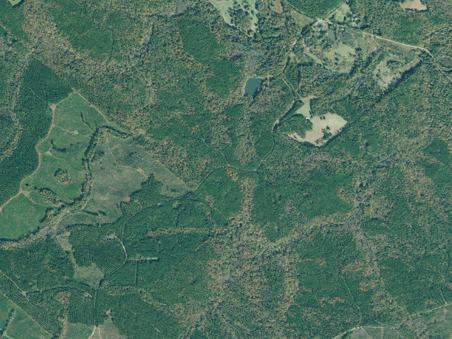 Aerial image of Cedar Creek WMA - Hadaway