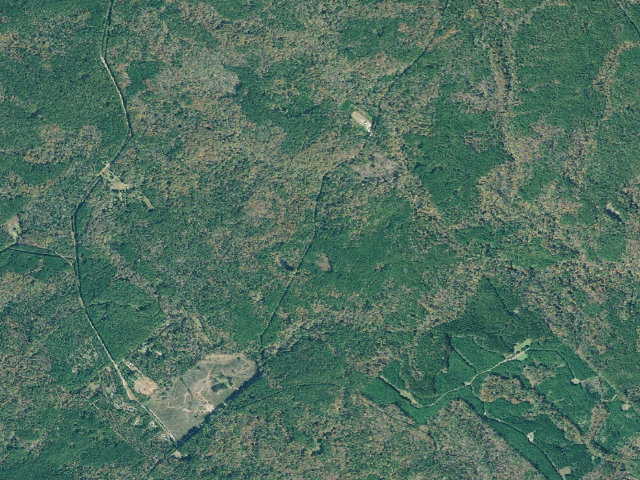 Aerial image of Cedar Creek WMA - oconee lake hunt camp
