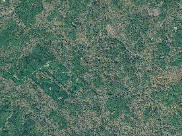 Aerial image of Cedar Creek WMA - Rock Creek Hunt Camp