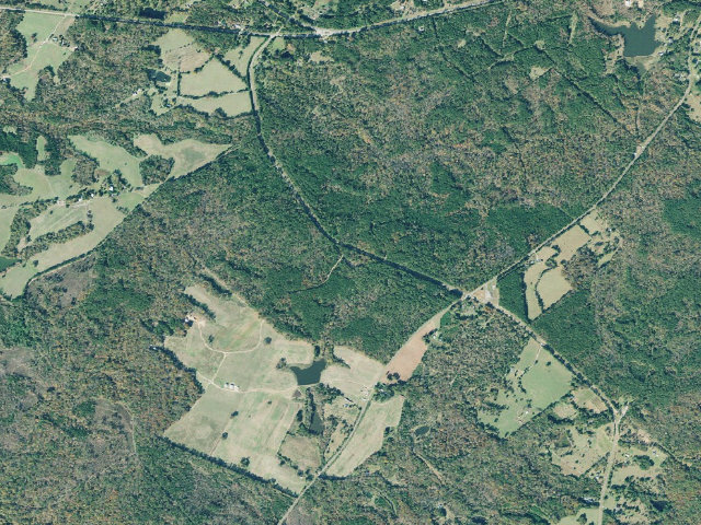Aerial image of Cedar Creek WMA - Willard
