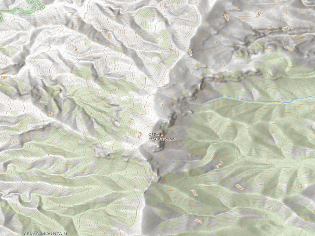USGS topographic map of Cedar Mountains