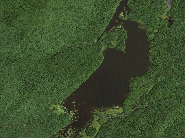 Aerial image of Cedar River Flow Primitive Campsite 2 (Moose River Plains Wild Forest)