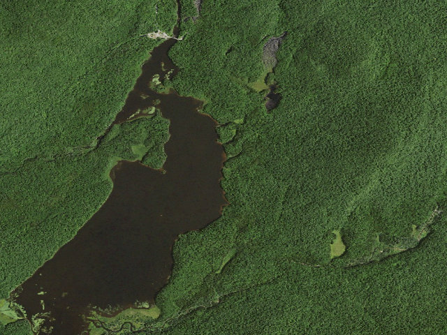 Aerial image of Cedar River Flow Primitive Campsite 3 (Moose River Plains Wild Forest)