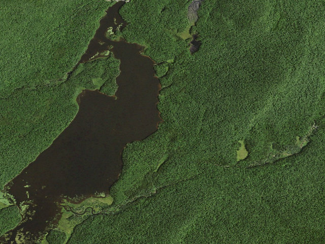 Aerial image of Cedar River Flow Primitive Campsite 5 (Moose River Plains Wild Forest)