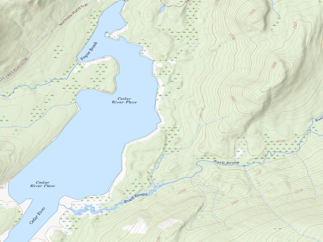 USGS topographic map of Cedar River Flow Primitive Campsite 5 (Moose River Plains Wild Forest)
