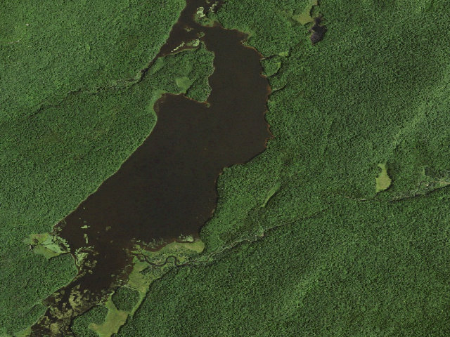 Aerial image of Cedar River Flow Primitive Campsite 6 (Moose River Plains Wild Forest)