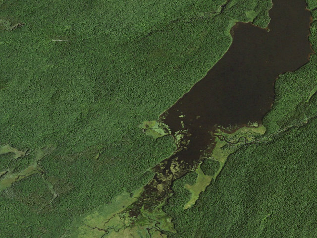 Aerial image of Cedar River Flow Tentsite (Moose River Plains Wild Forest)