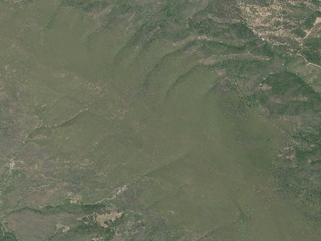 Aerial image of Cedar Roughs Wilderness