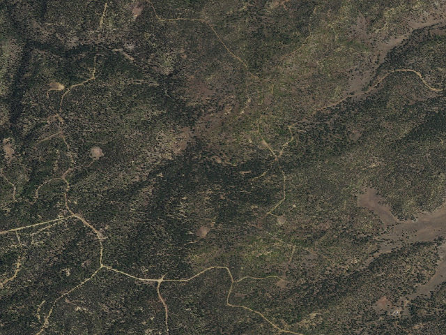 Aerial image of Cedar Springs Campground