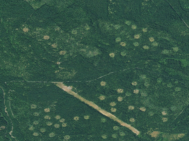 Aerial image of Cedar Springs