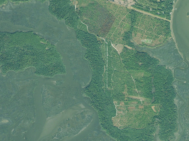 Aerial image of Ceylon WMA - Black Point - Grover’s Island Overlook campground