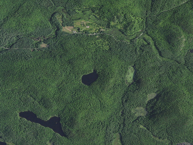Aerial image of Challis Pond Primitive Tentsite [DEC #18351] (Hammond Pond Wild Forest)