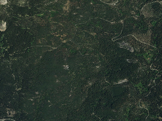 Aerial image of Chapman
