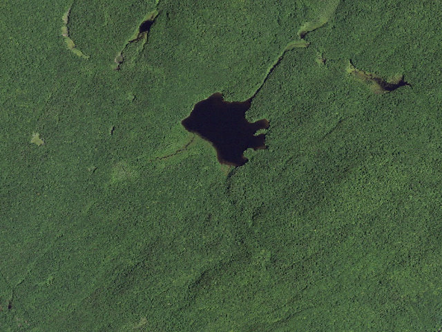 Aerial image of Chase Lake Tent Site [DEC #11356] (Shaker Mountain Wild Forest)