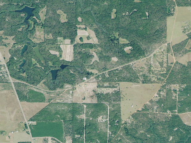 Aerial image of Chattahoochee Fall Line WMA - Fort Perry Primitive Campground #1