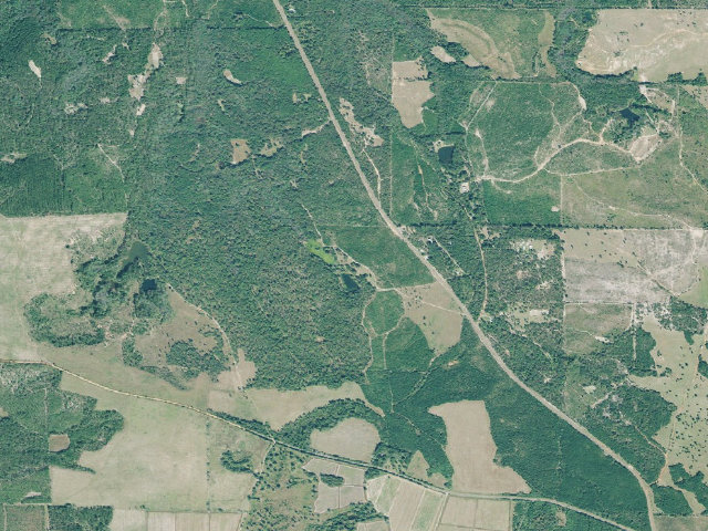 Aerial image of Chattahoochee Fall Line WMA - Hilliard Primitive Campground #1