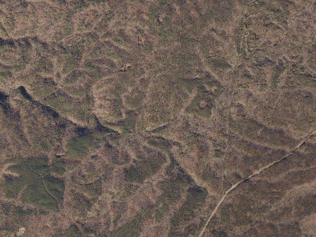 Aerial image of Cheaha Falls Trail Shelter Site