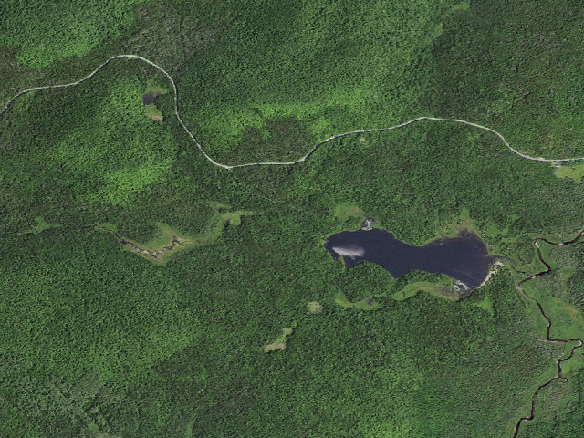 Aerial image of Cheney Pond Campsite #1 (Vanderwhacker Mountain Wild Forest)