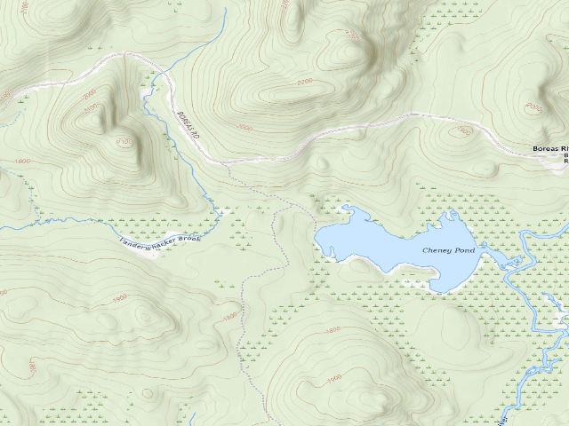 USGS topographic map of Cheney Pond Campsite #1 (Vanderwhacker Mountain Wild Forest)