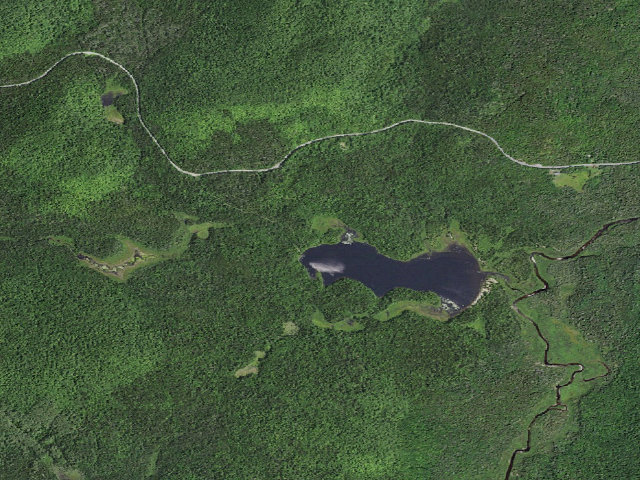 Aerial image of Cheney Pond Campsite #2 (Vanderwhacker Mountain Wild Forest)