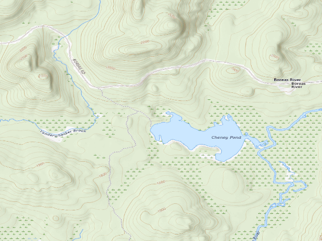 USGS topographic map of Cheney Pond Campsite #2 (Vanderwhacker Mountain Wild Forest)