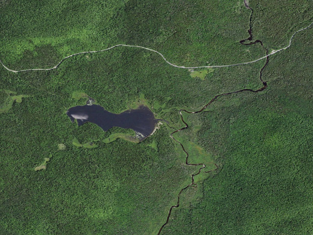 Aerial image of Cheney Pond Campsite #3 (Vanderwhacker Mountain Wild Forest)