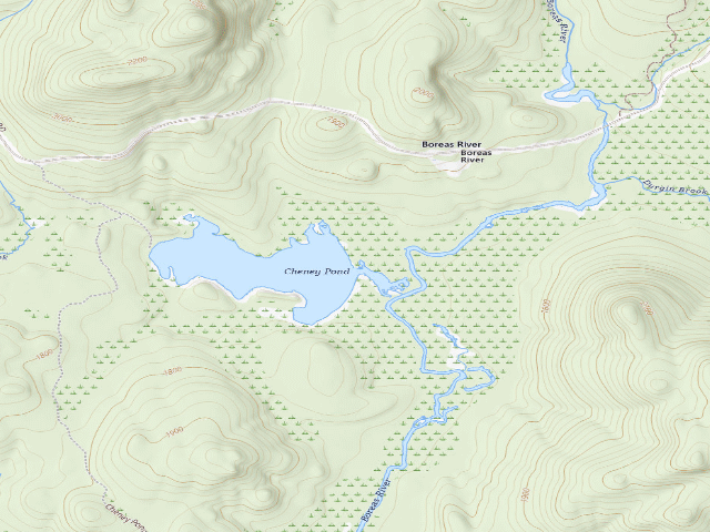 USGS topographic map of Cheney Pond Campsite #3 (Vanderwhacker Mountain Wild Forest)