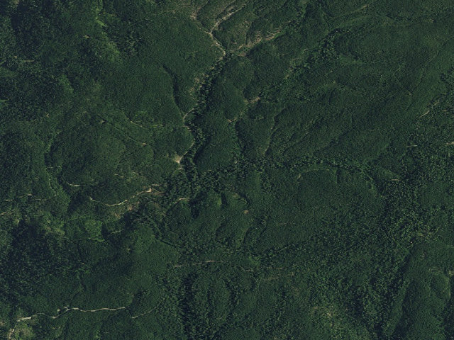 Aerial image of Cherokee Creek