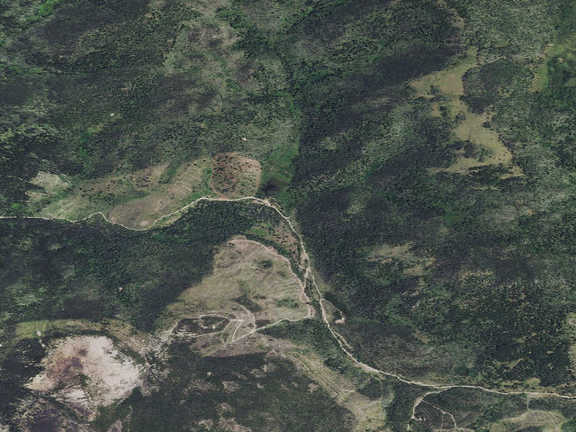 Aerial image of Chessman Rd 299 007