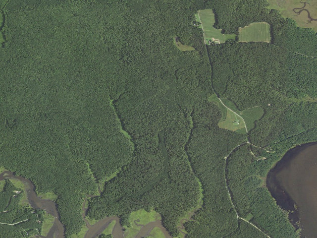Aerial image of Chickahominy WMA