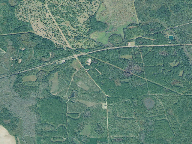 Aerial image of Chickasawhatchee WMA Primitive Campground #1