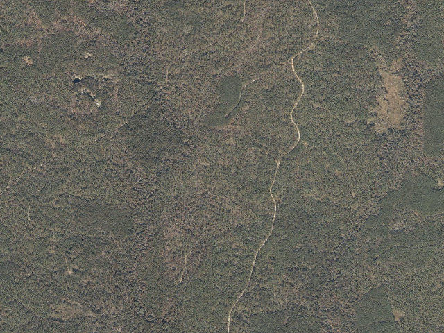 Aerial image of Chickasawhay WMA camp site 1