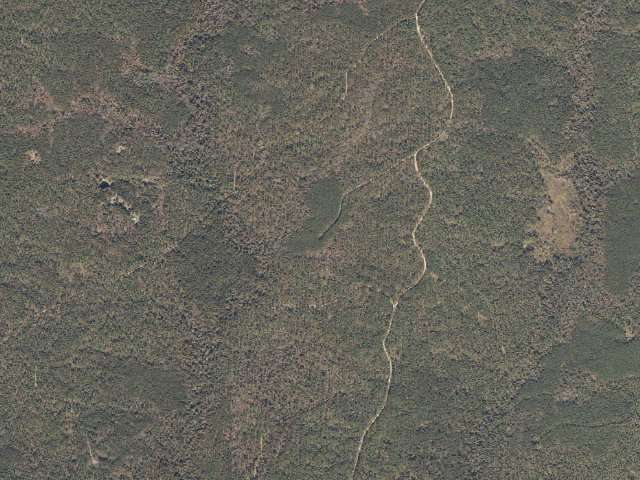 Aerial image of Chickasawhay WMA camp site 2