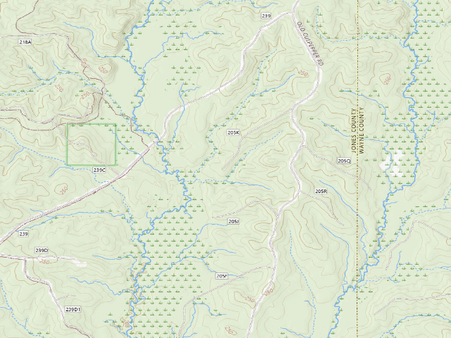 USGS topographic map of Chickasawhay WMA camp site 2