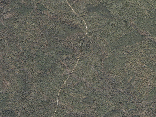 Aerial image of Chickasawhay WMA camp site 3