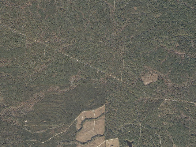 Aerial image of Chickasawhay WMA camp site 4