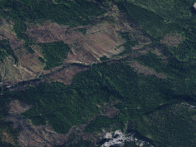 Aerial image of Chipmunk Th Rd2829 #2