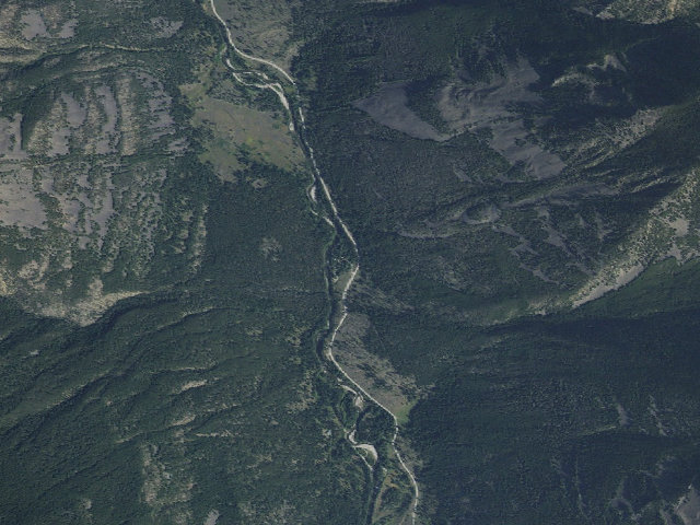 Aerial image of Chippy Park