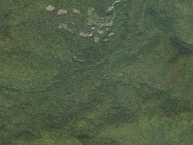 Aerial image of Chittenden Brook
