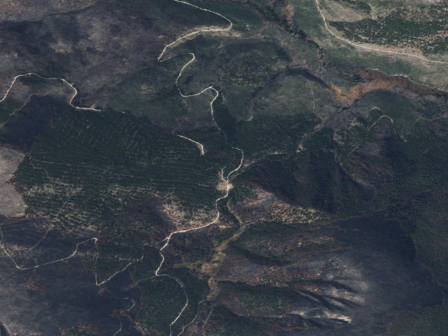 Aerial image of Chop Log