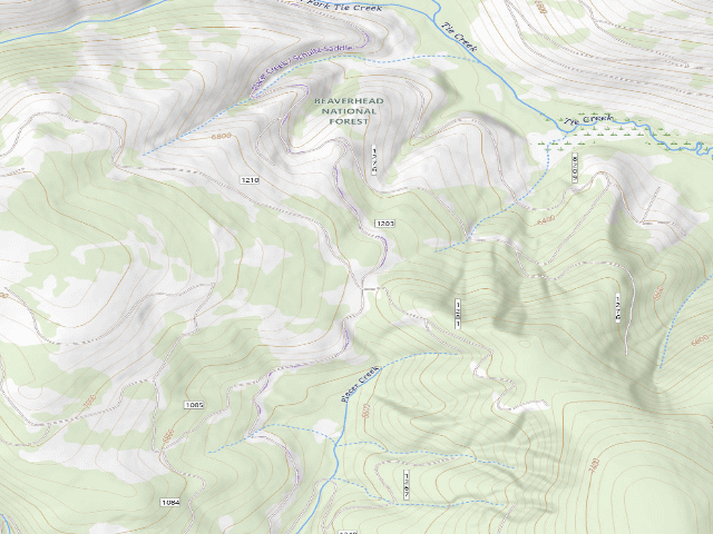 USGS topographic map of Chop Log