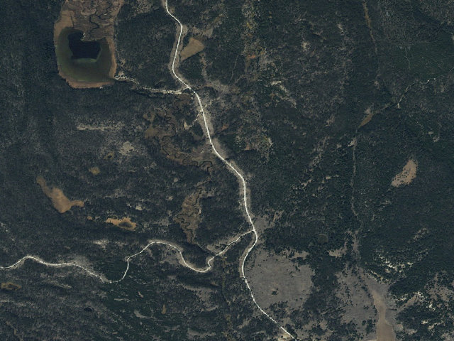 Aerial image of Chopped Wood