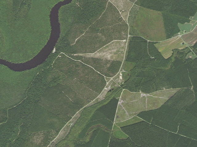 Aerial image of Chowan Swamp Game Land camping area #1