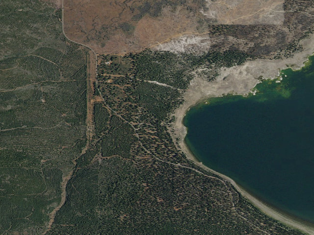 Aerial image of Christie