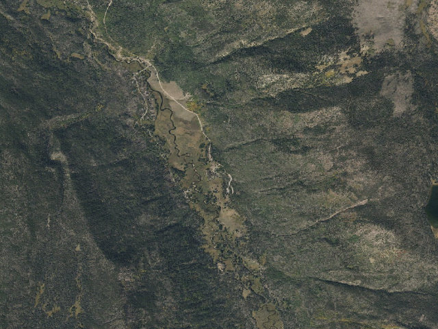 Aerial image of Christmas Meadows
