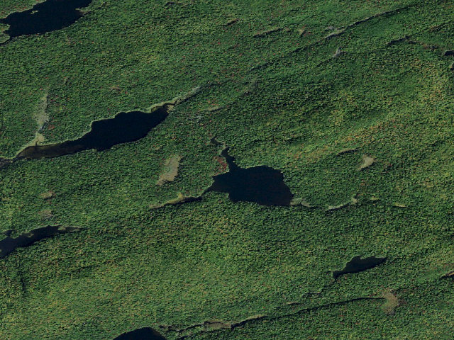 Aerial image of Chub Lake Designated Campsite [DEC #18583] (Pigeon Lake Wilderness)
