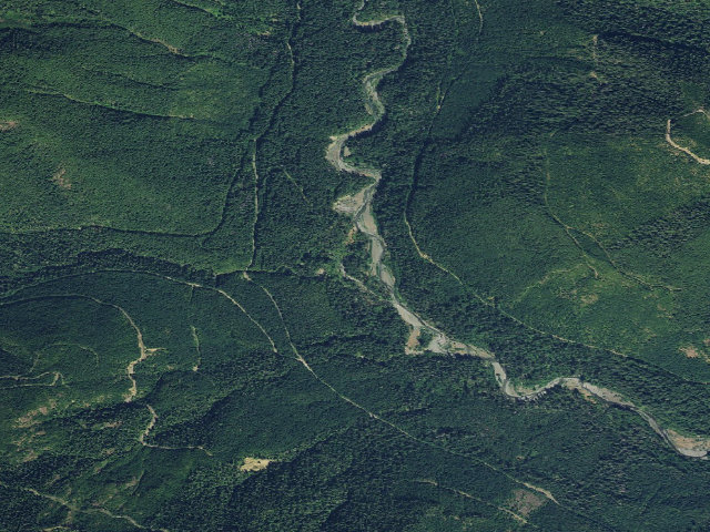 Aerial image of Church Creek Shelter