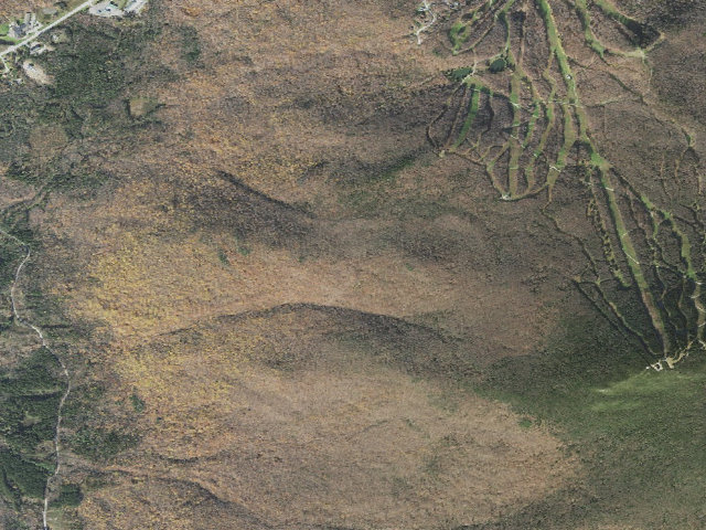 Aerial image of Churchill Scott Shelter