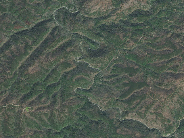 Aerial image of Citico Creek Dispersed Campsites